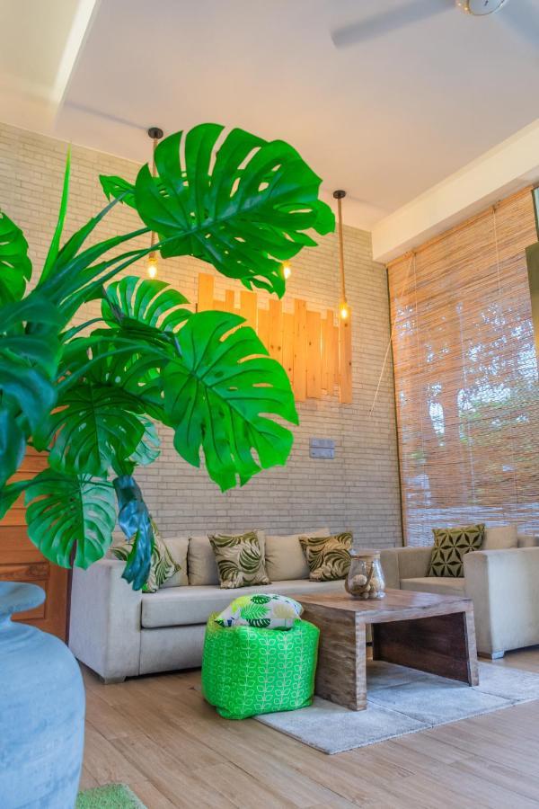 J Leaf Hotel By Blue Bird Negombo Exteriör bild